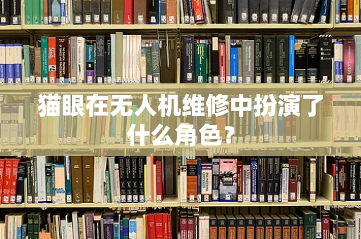 猫眼在无人机维修中扮演了什么角色？