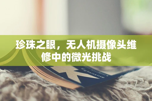 珍珠之眼，无人机摄像头维修中的微光挑战