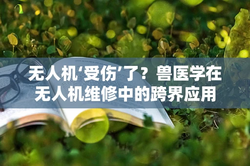 无人机‘受伤’了？兽医学在无人机维修中的跨界应用