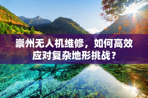 崇州无人机维修，如何高效应对复杂地形挑战？