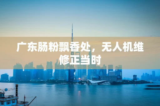 广东肠粉飘香处，无人机维修正当时