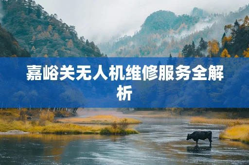 嘉峪关无人机维修服务全解析