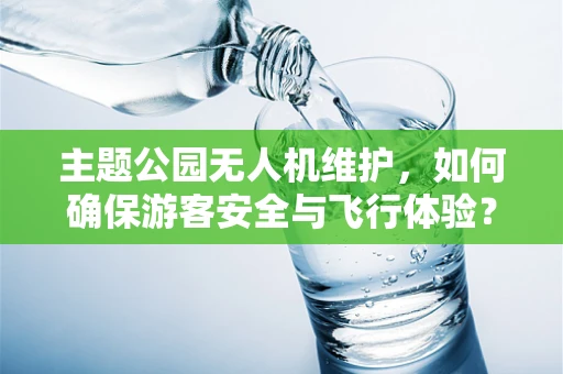 主题公园无人机维护，如何确保游客安全与飞行体验？