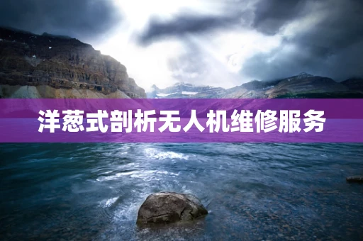 洋葱式剖析无人机维修服务