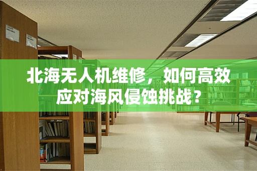 北海无人机维修，如何高效应对海风侵蚀挑战？