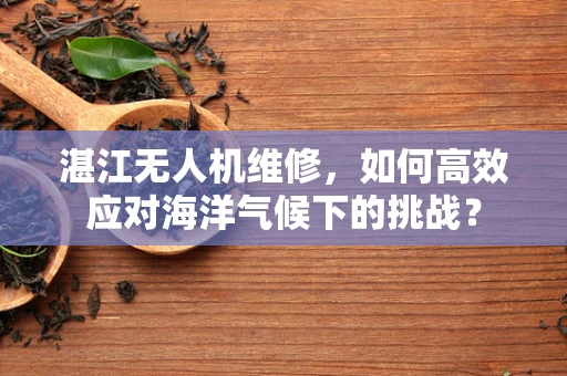 湛江无人机维修，如何高效应对海洋气候下的挑战？