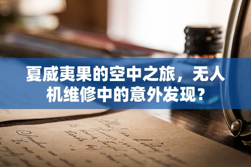 夏威夷果的空中之旅，无人机维修中的意外发现？