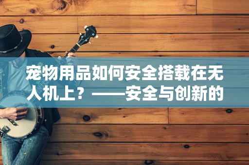 宠物用品如何安全搭载在无人机上？——安全与创新的考量