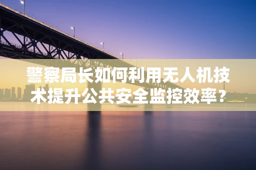 警察局长如何利用无人机技术提升公共安全监控效率？