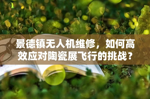 景德镇无人机维修，如何高效应对陶瓷展飞行的挑战？