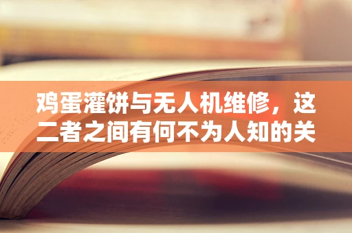 鸡蛋灌饼与无人机维修，这二者之间有何不为人知的关联？
