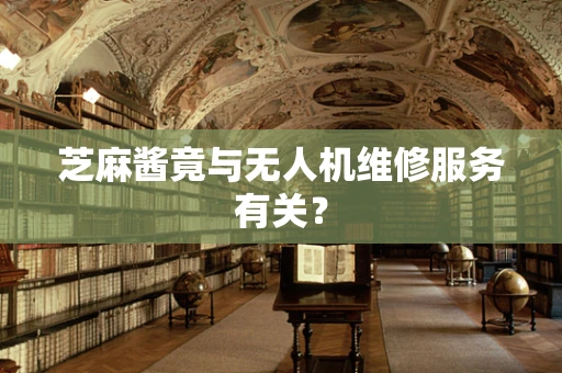 芝麻酱竟与无人机维修服务有关？