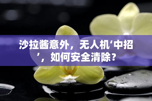 沙拉酱意外，无人机‘中招’，如何安全清除？