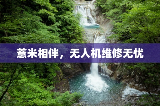 薏米相伴，无人机维修无忧