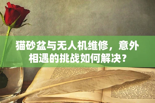 猫砂盆与无人机维修，意外相遇的挑战如何解决？