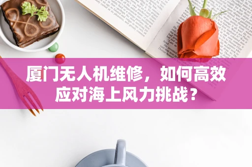 厦门无人机维修，如何高效应对海上风力挑战？