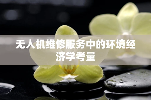 无人机维修服务中的环境经济学考量
