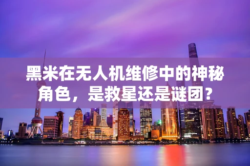 黑米在无人机维修中的神秘角色，是救星还是谜团？