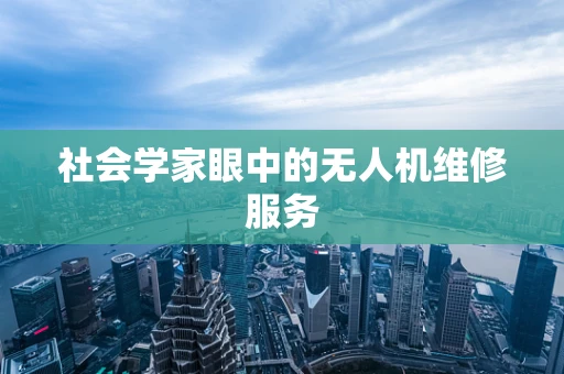社会学家眼中的无人机维修服务