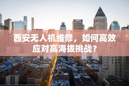 西安无人机维修，如何高效应对高海拔挑战？