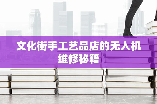 文化街手工艺品店的无人机维修秘籍