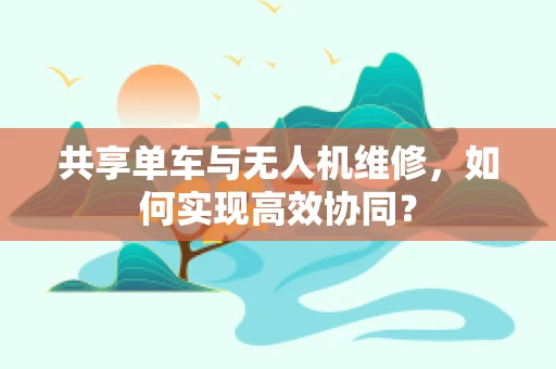 共享单车与无人机维修，如何实现高效协同？