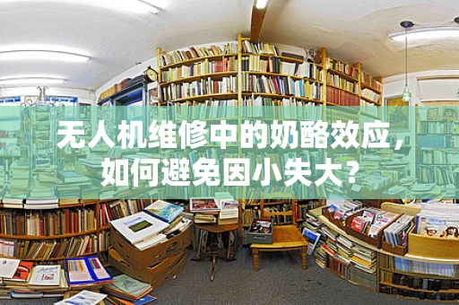 无人机维修中的奶酪效应，如何避免因小失大？