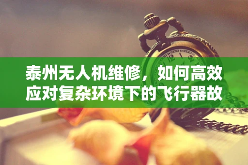 泰州无人机维修，如何高效应对复杂环境下的飞行器故障？