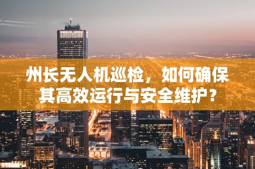 州长无人机巡检，如何确保其高效运行与安全维护？
