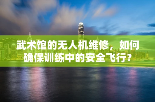 武术馆的无人机维修，如何确保训练中的安全飞行？