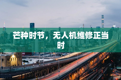 芒种时节，无人机维修正当时