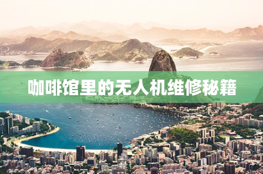咖啡馆里的无人机维修秘籍