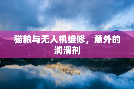 猫粮与无人机维修，意外的润滑剂
