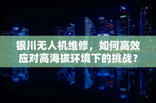 银川无人机维修，如何高效应对高海拔环境下的挑战？