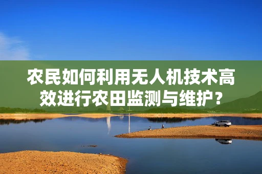 农民如何利用无人机技术高效进行农田监测与维护？