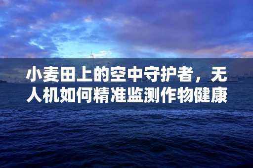 小麦田上的空中守护者，无人机如何精准监测作物健康？