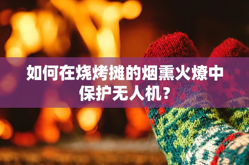 如何在烧烤摊的烟熏火燎中保护无人机？