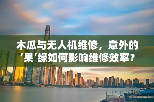 木瓜与无人机维修，意外的‘果’缘如何影响维修效率？