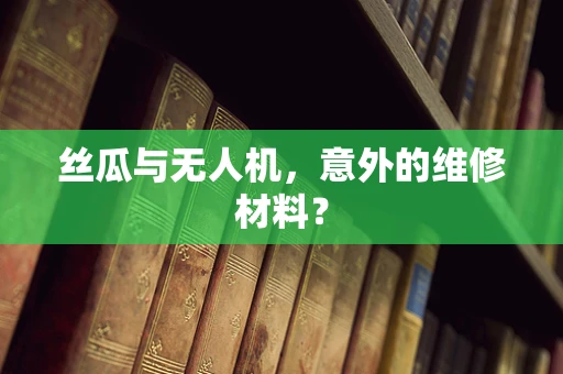丝瓜与无人机，意外的维修材料？