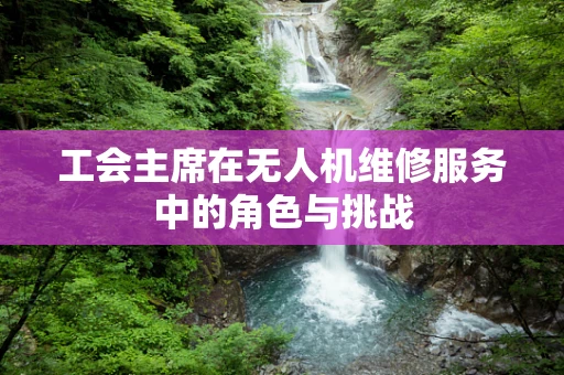工会主席在无人机维修服务中的角色与挑战