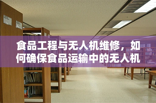 食品工程与无人机维修，如何确保食品运输中的无人机安全？