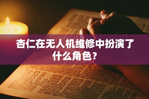 杏仁在无人机维修中扮演了什么角色？