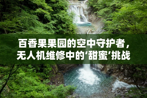 百香果果园的空中守护者，无人机维修中的‘甜蜜’挑战