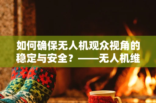 如何确保无人机观众视角的稳定与安全？——无人机维修中的关键考量