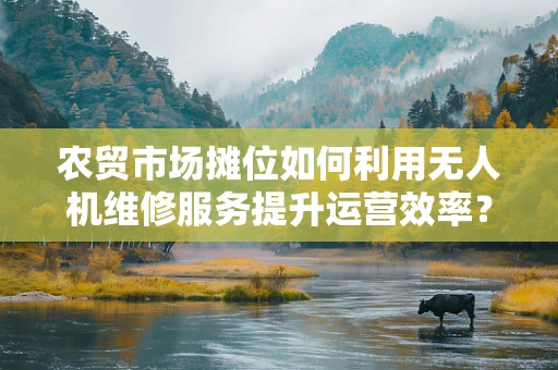 农贸市场摊位如何利用无人机维修服务提升运营效率？