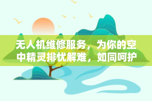 无人机维修服务，为你的空中精灵排忧解难，如同呵护饮水机般精心