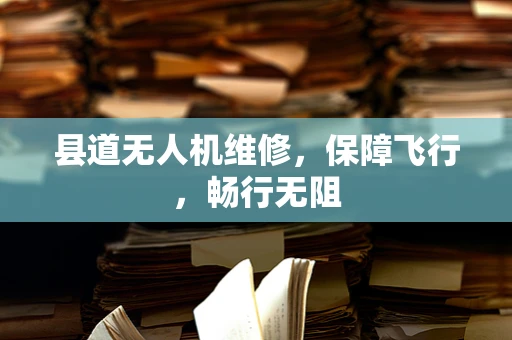 县道无人机维修，保障飞行，畅行无阻