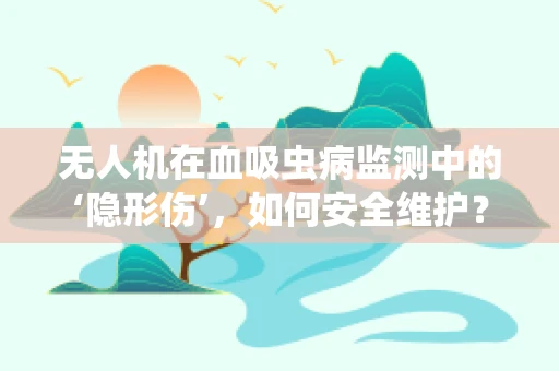 无人机在血吸虫病监测中的‘隐形伤’，如何安全维护？