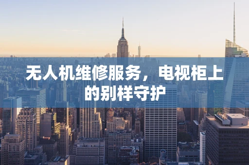 无人机维修服务，电视柜上的别样守护