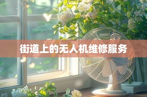 街道上的无人机维修服务